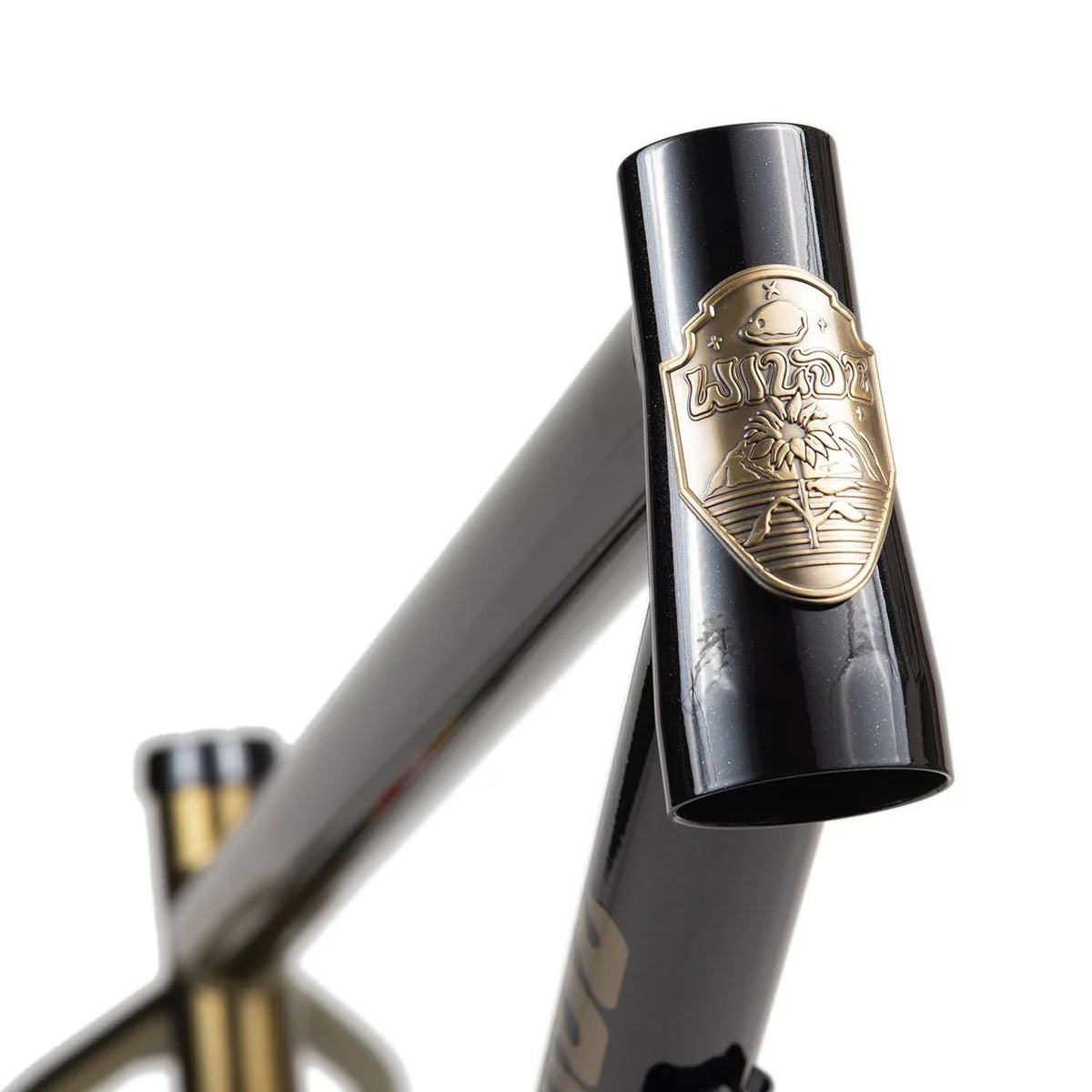 Wilde Dark Star Frame