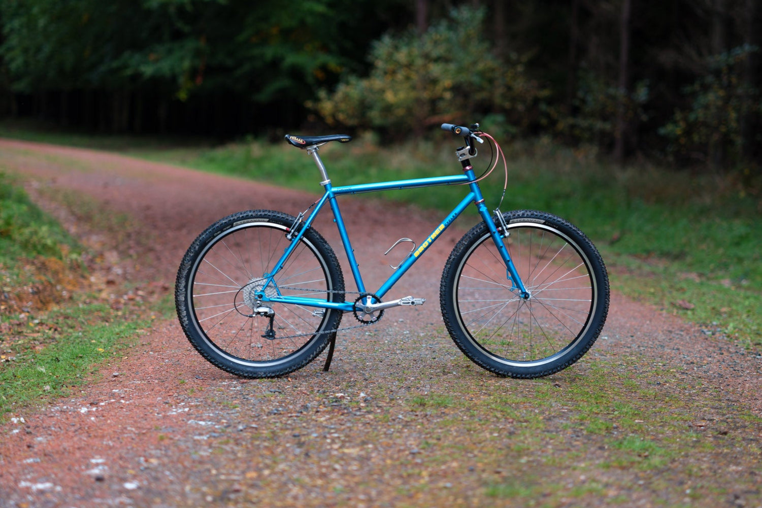 Blue bicycle on a dirt path with trees in the background