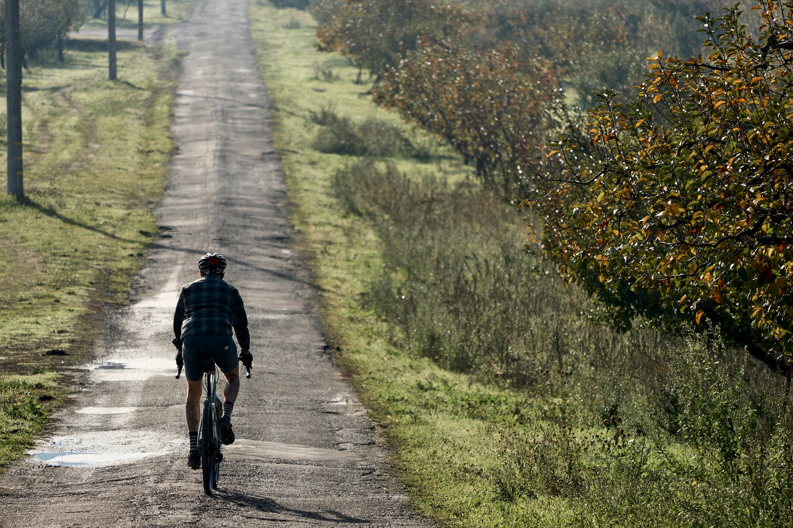 Marin Four Corners 2 - ETA July-Marin-Bicycle Junction