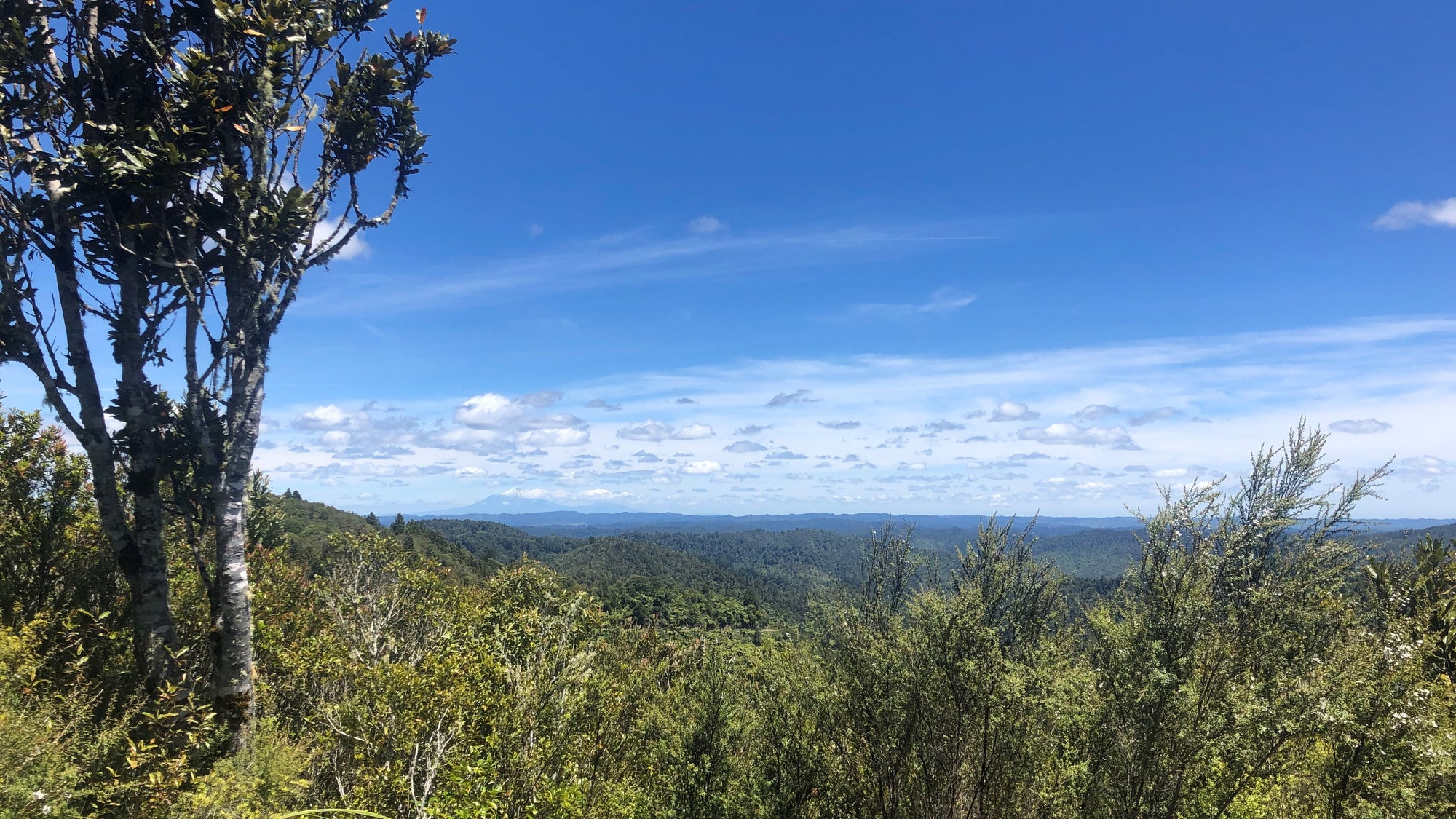 Greg's Timber Trail/Mountains to Sea