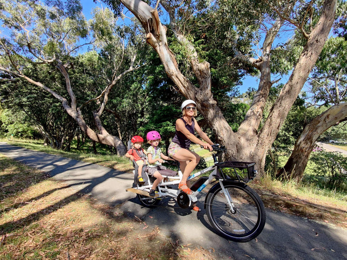 Cargo Tales, Pt. 1: Captain Najork and the Hired Sportsmen