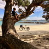 Cargo Bikes 101: The Basics of Cargo