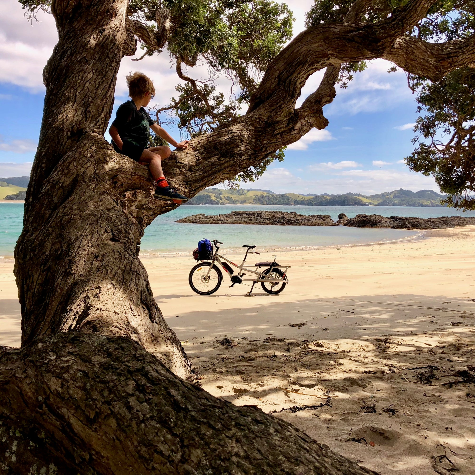 Cargo Bikes 101: The Basics of Cargo