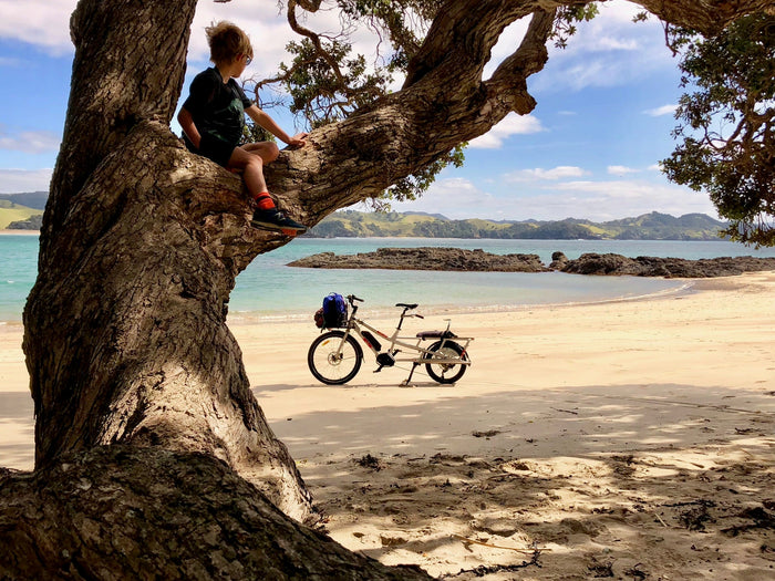 Cargo Bikes 101: The Basics of Cargo