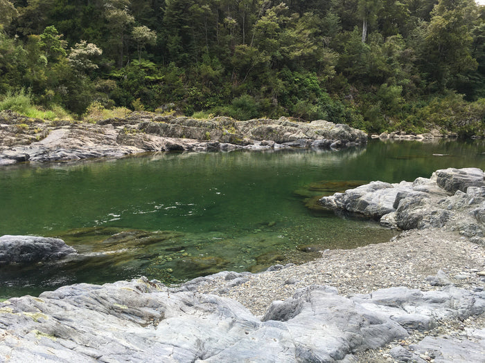 Ilya's Nelson Wedding Dash