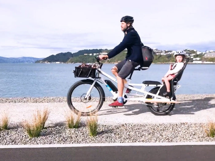 Cargo Tales, Pt. 7: The Ims