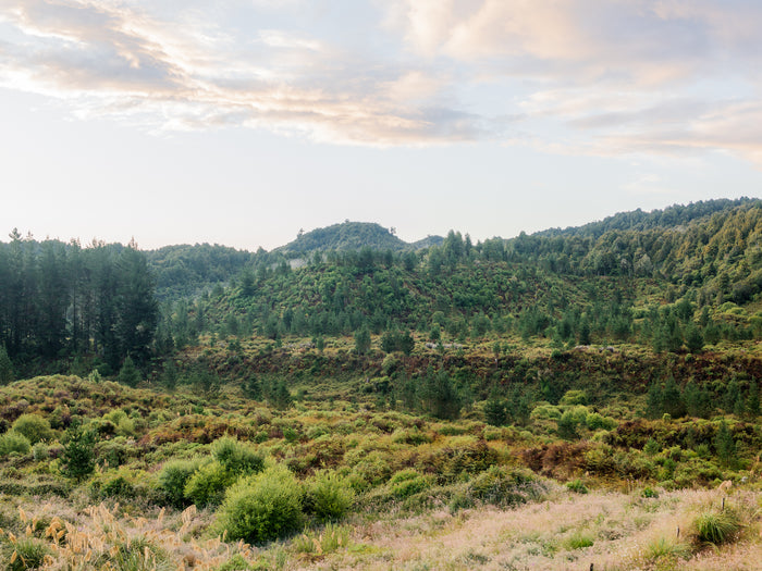 Where To Ride Bikes This Summer