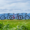 Genesis Bikes
