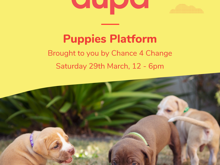 Puppie's Platform at Cuba Dupa (and Bike Parking)