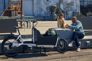 Riese & Müller Transporter2 65 │Touring-E-Cargobikes-Riese & Müller-Bicycle Junction