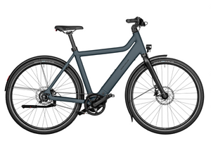 Riese & Müller Culture │Silent-Electric-Riese & Müller-Bicycle Junction