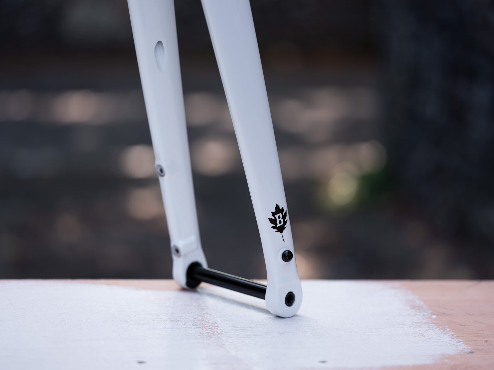 Brother Cycles Stroma 2026 Frameset