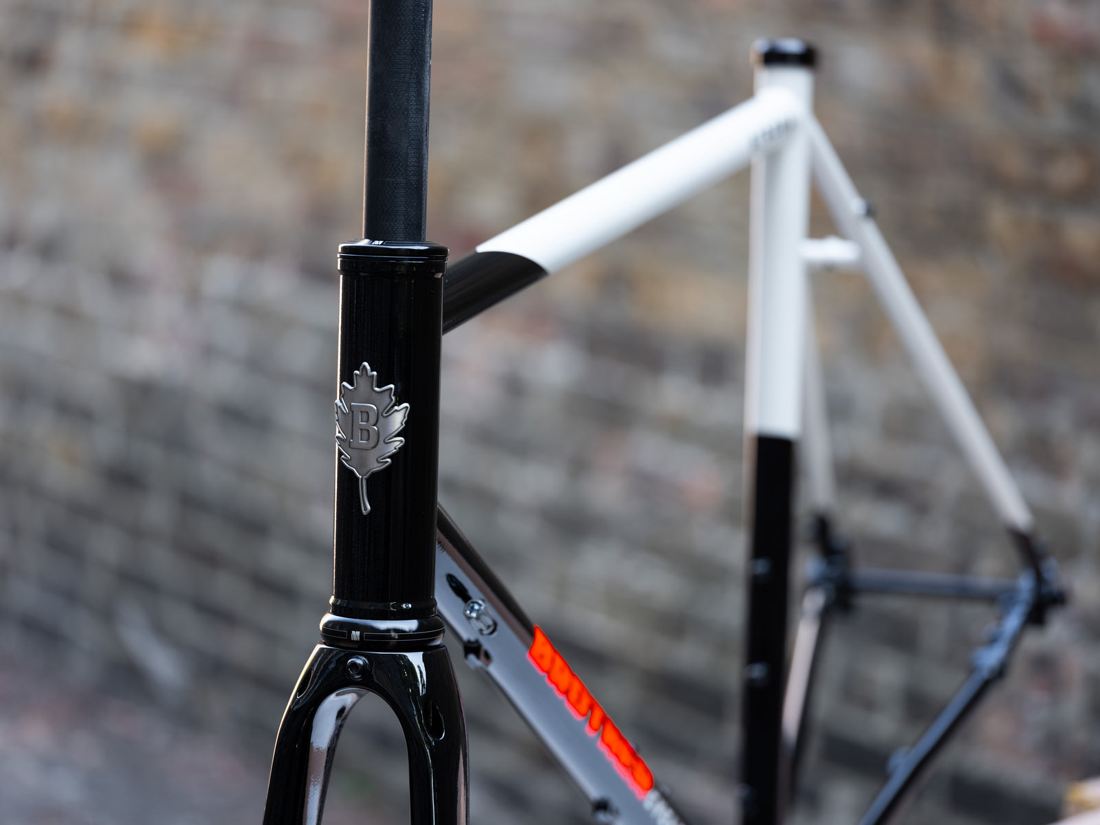 Brother Cycles Stroma 2026 Frameset