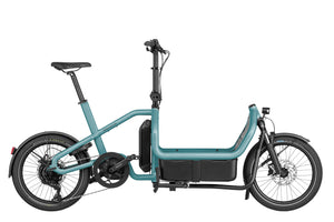 Riese & Müller Carrie-Cargo Bikes-Riese & Müller-Bicycle Junction
