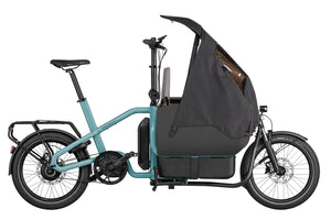 Riese & Müller Carrie-Cargo Bikes-Riese & Müller-Family-Bicycle Junction