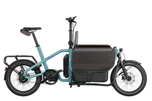 Riese & Müller Carrie-Cargo Bikes-Riese & Müller-Stuff-Bicycle Junction