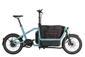Riese & Müller Carrie-Cargo Bikes-Riese & Müller-Bicycle Junction