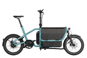 Riese & Müller Carrie-Cargo Bikes-Riese & Müller-Bicycle Junction