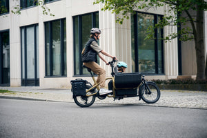 Riese & Müller Carrie-Cargo Bikes-Riese & Müller-Bicycle Junction