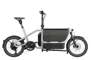 Riese & Müller Carrie-Cargo Bikes-Riese & Müller-Bicycle Junction