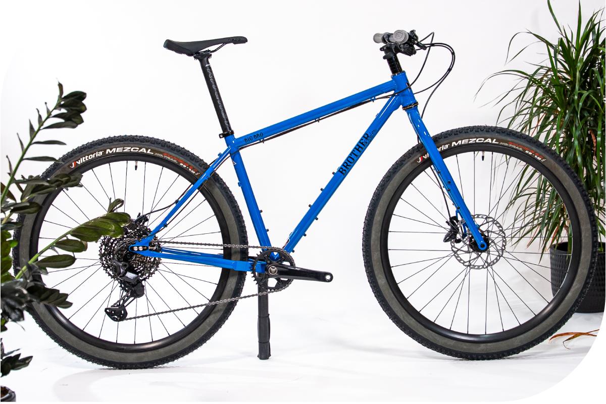 brother-cycles-big Blue bicycle on a white background with plants on either side