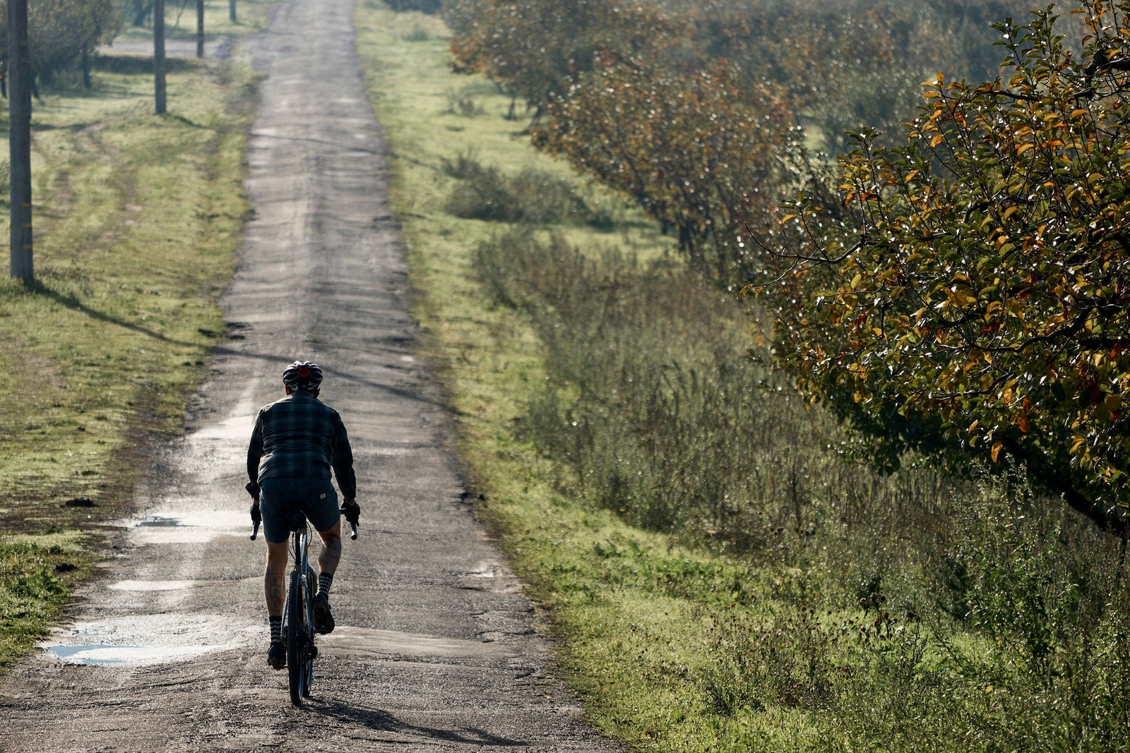 Marin Four Corners 2