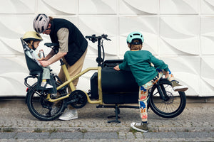 Riese & Müller Carrie-Cargo Bikes-Riese & Müller-Bicycle Junction