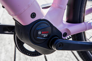 Riese & Müller Culture │Silent-Riese & Müller-Bicycle Junction