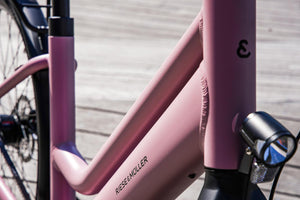 Riese & Müller Culture │Silent-Riese & Müller-Bicycle Junction