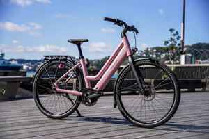 Riese & Müller Culture │Silent-Riese & Müller-Bicycle Junction