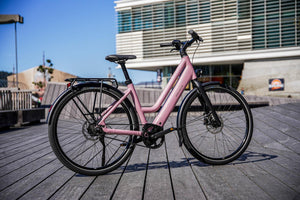 Riese & Müller Culture │Silent-Riese & Müller-Bicycle Junction