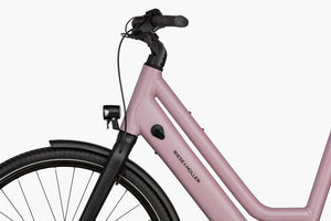 Riese & Müller Culture │Silent-Riese & Müller-Bicycle Junction