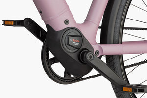 Riese & Müller Culture │Silent-Riese & Müller-Bicycle Junction