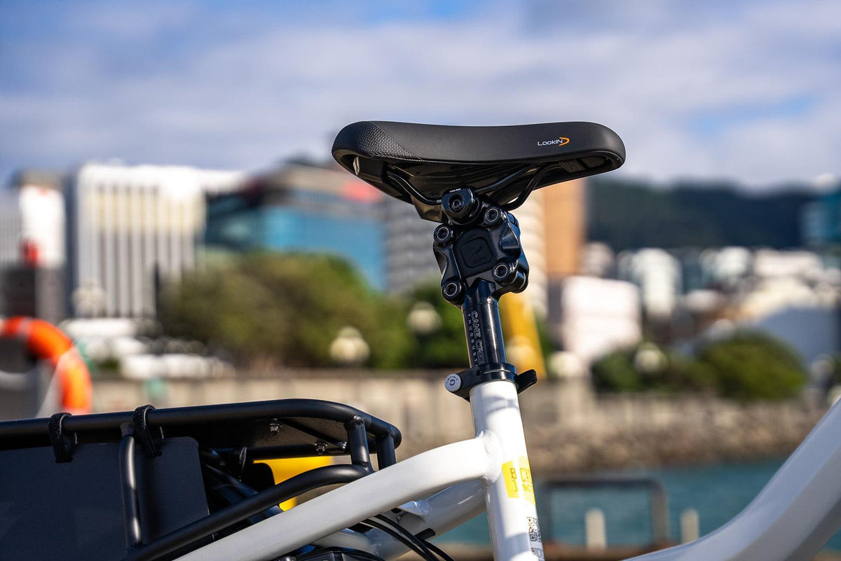 Riese & Müller Multicharger2 │Mixte GT Vario HS-Riese & Müller-Bicycle Junction