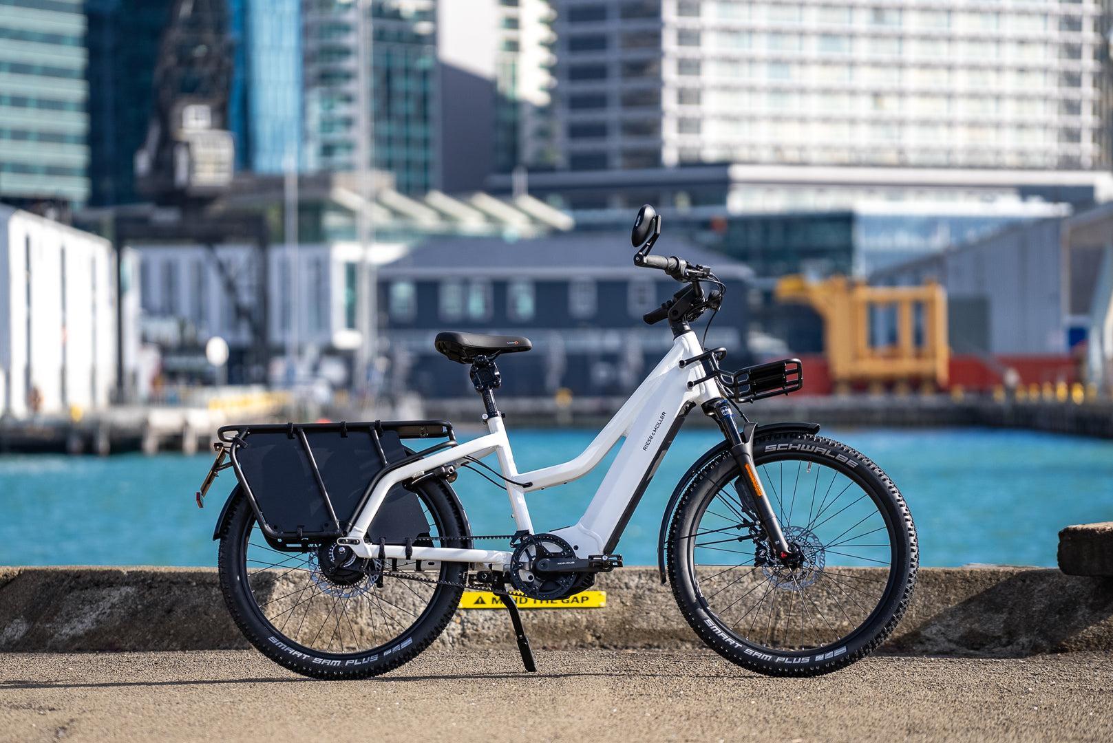 Riese & Müller Multicharger2 │Mixte GT Vario HS-Riese & Müller-Bicycle Junction