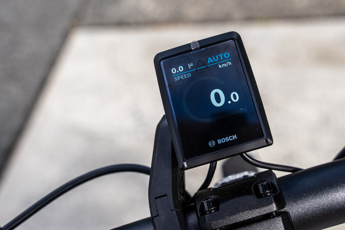 Sinch Force EZ │Belt-Sinch-Bicycle Junction