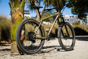 Surly Karate Monkey │Custom Build-Surly-Bicycle Junction