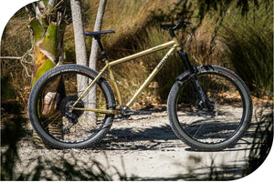 Surly Karate Monkey │Custom Build-Surly-Bicycle Junction