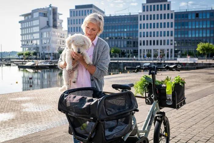Tern HSD Dog Roof Mini-Tern-Bicycle Junction