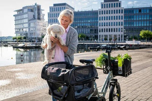 Tern HSD Dog Roof Mini-Tern-Bicycle Junction