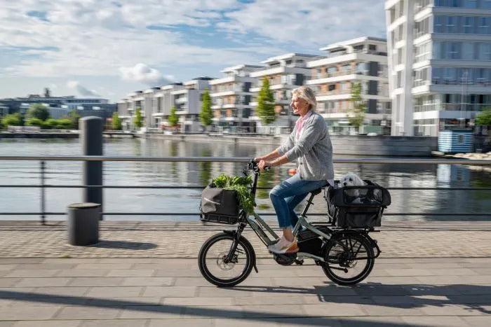 Tern HSD Dog Roof Mini-Tern-Bicycle Junction