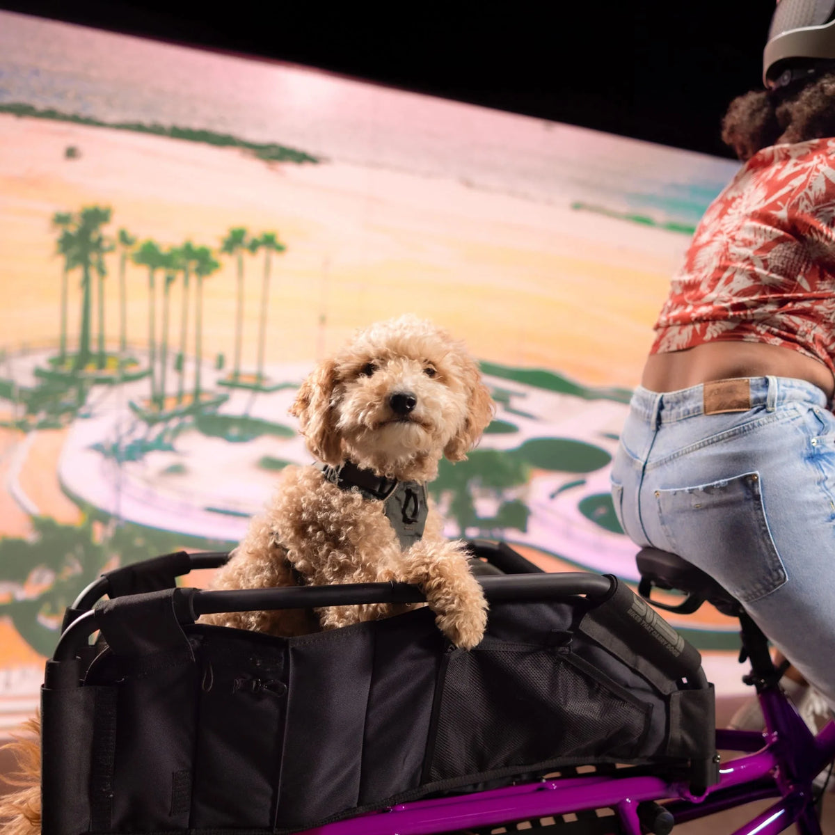 Yuba Cargo Accessory Wooftop Dog Carrier for Longtails