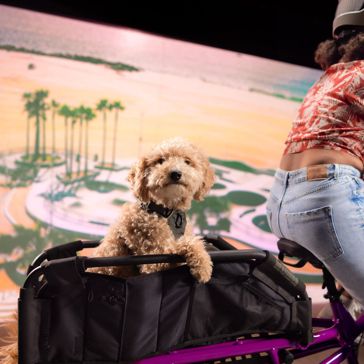 Yuba Woof Top-Yuba-Bicycle Junction